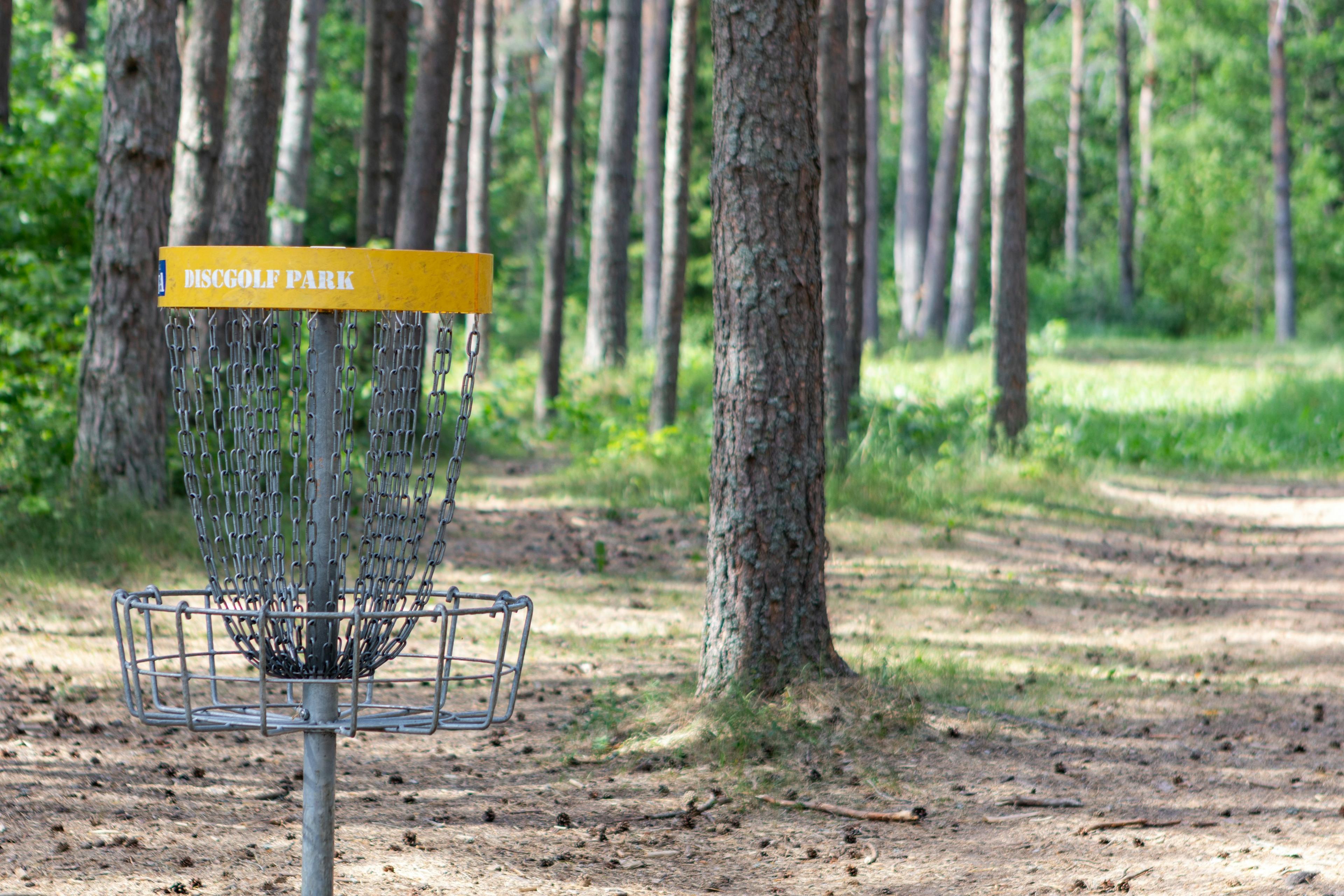 Gul discgolfkurv mellom trær på en skogsbane